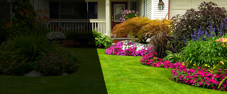 East Greenville Landscapers