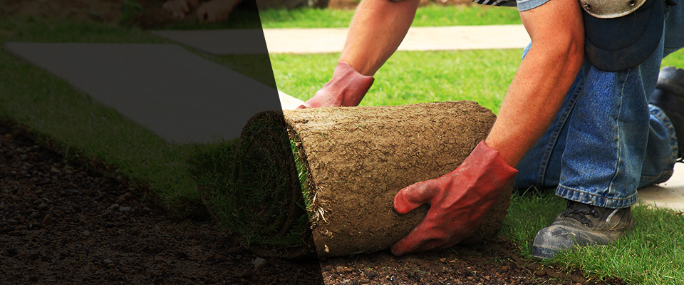 East Greenville Landscapers